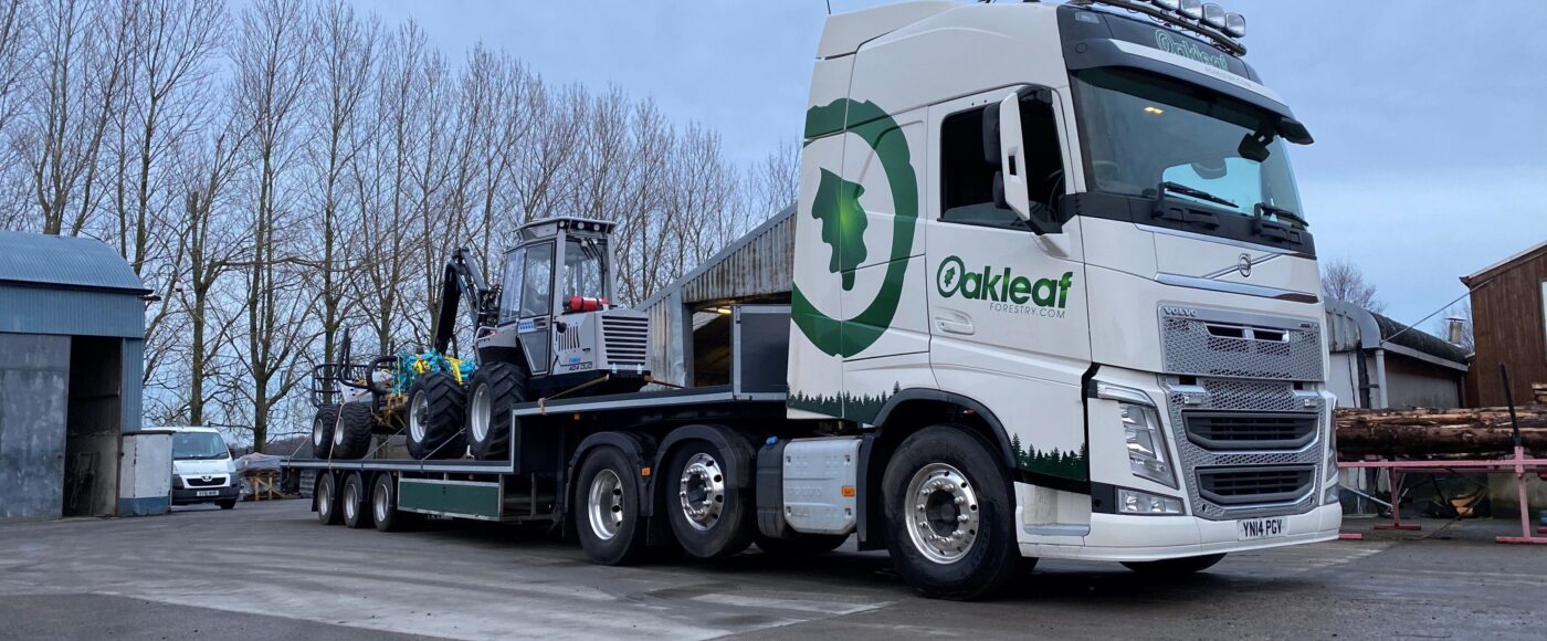 Oakleaf